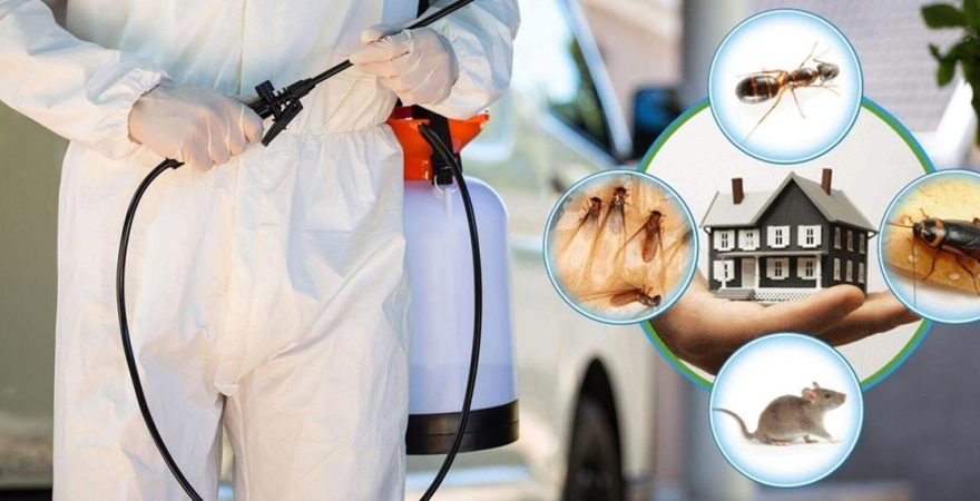 Gördes Böcek İlaçlama