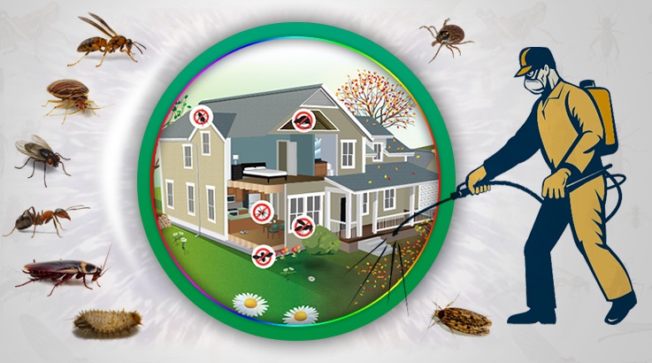 Gördes Böcek İlaçlama