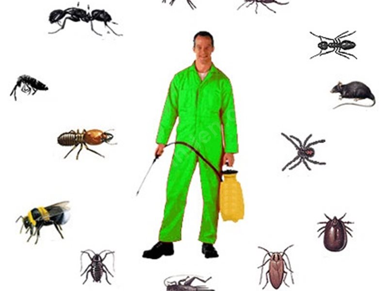 Gördes Böcek İlaçlama